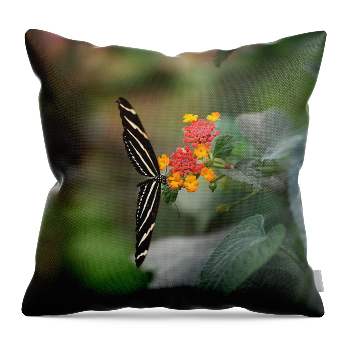 Arizona Throw Pillow featuring the photograph At Last by Lucinda Walter