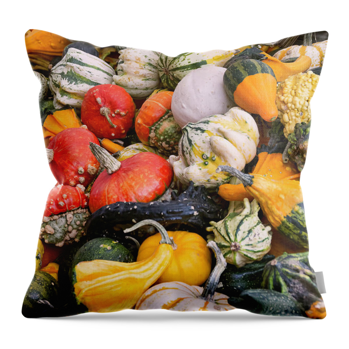 Gourds Throw Pillow featuring the photograph At the Farmers Market - Squash and Pumpkins by Peggy Collins