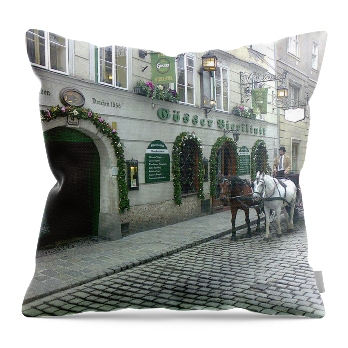 Vienna Throw Pillow featuring the photograph At The Golden Dragon's House by Evelyn Tambour