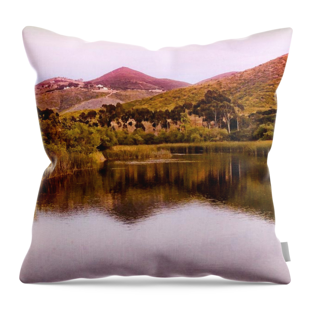 Lake Throw Pillow featuring the photograph At the Lake by Alison Frank