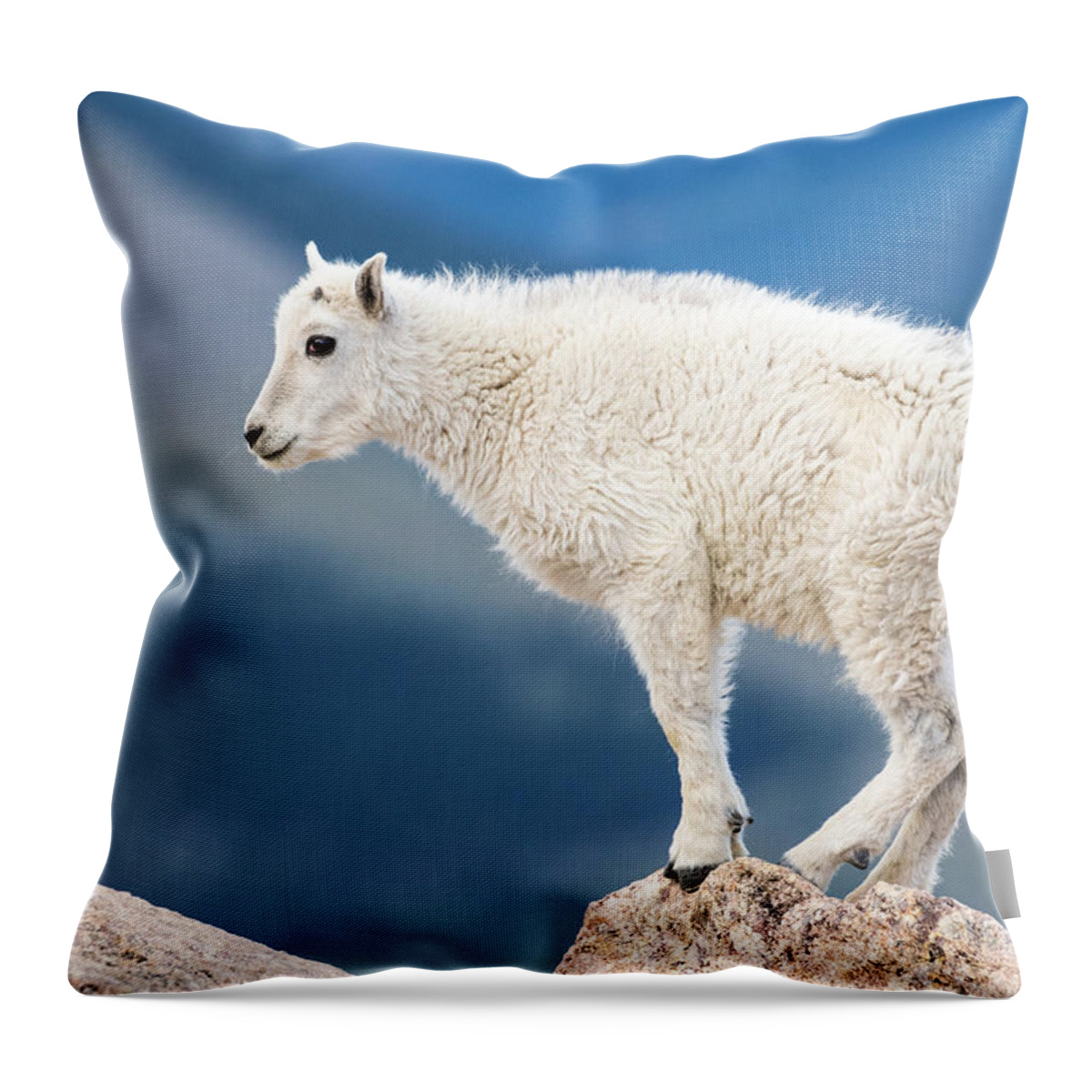 Mountain Goat Throw Pillow featuring the photograph At The Top Of The Rockies #3 by Mindy Musick King