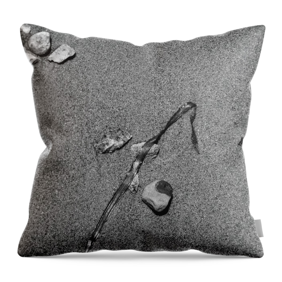 Water Throw Pillow featuring the photograph At Waters Edge 03 by Jimmy Ostgard