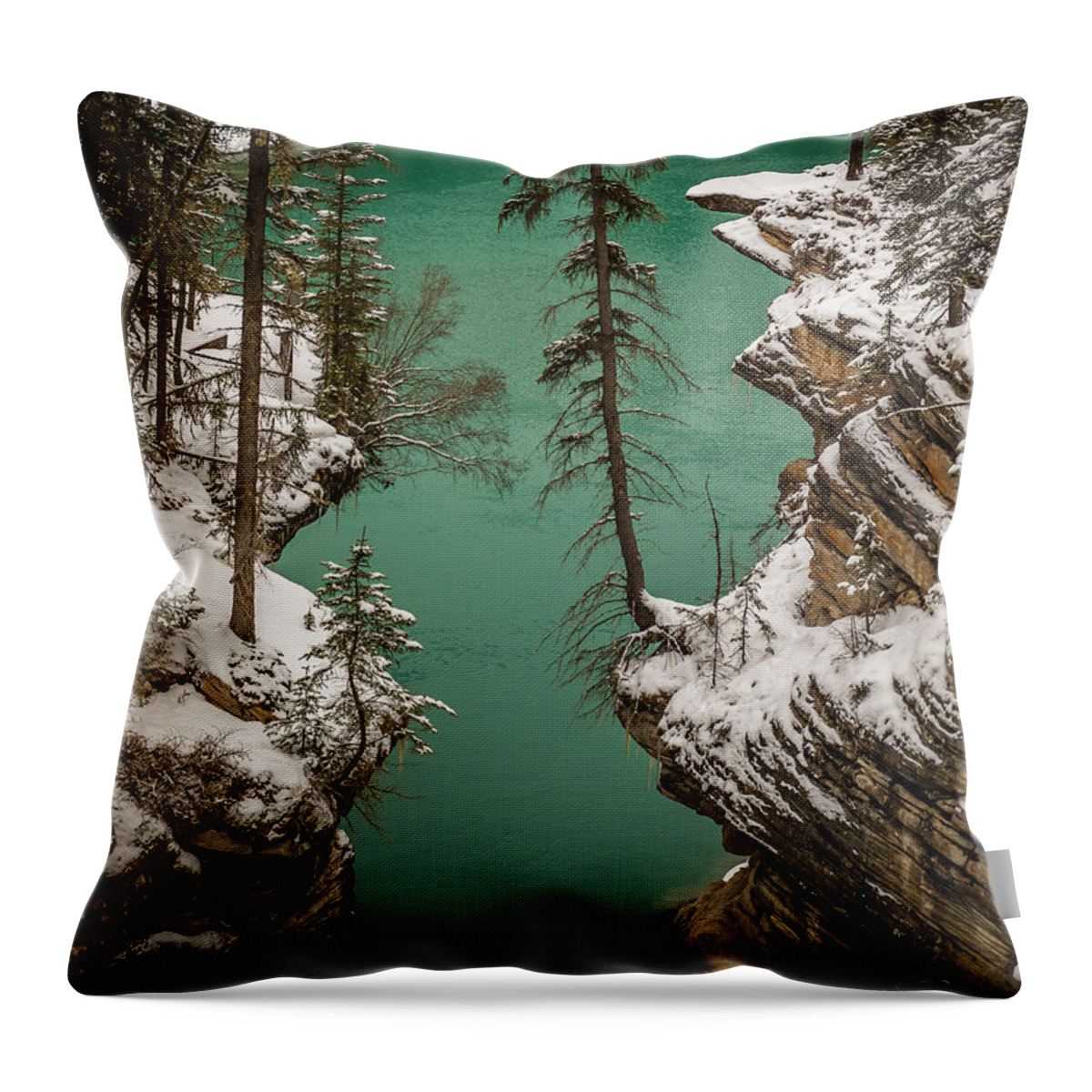 Trees Throw Pillow featuring the photograph Athabasca Art by Gary Migues