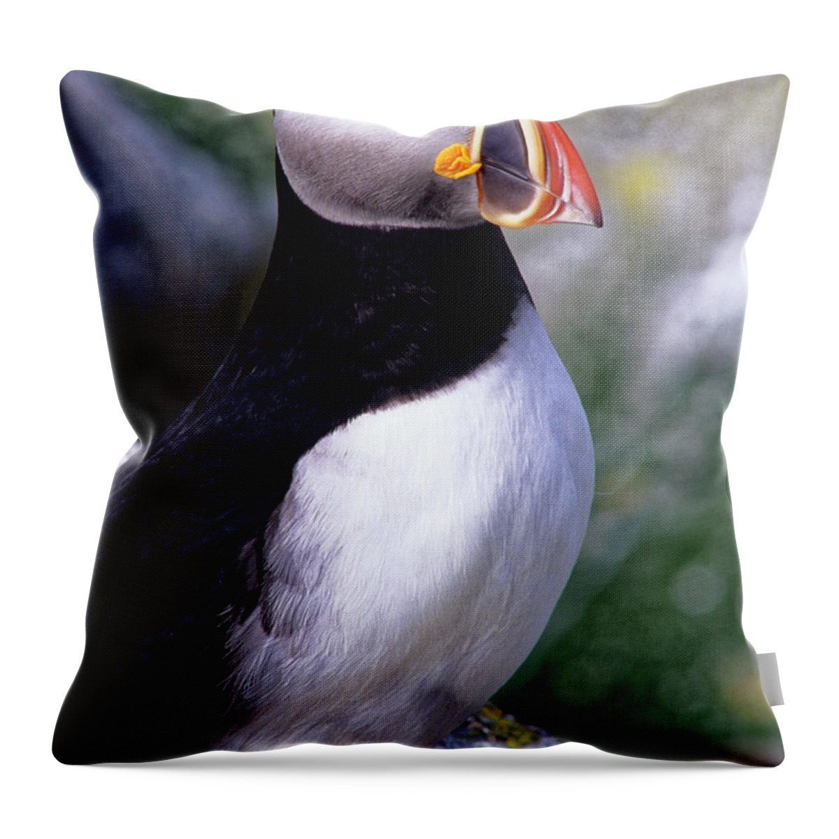 Puffin Throw Pillow featuring the photograph Atlantic Puffin by Kevin Shields