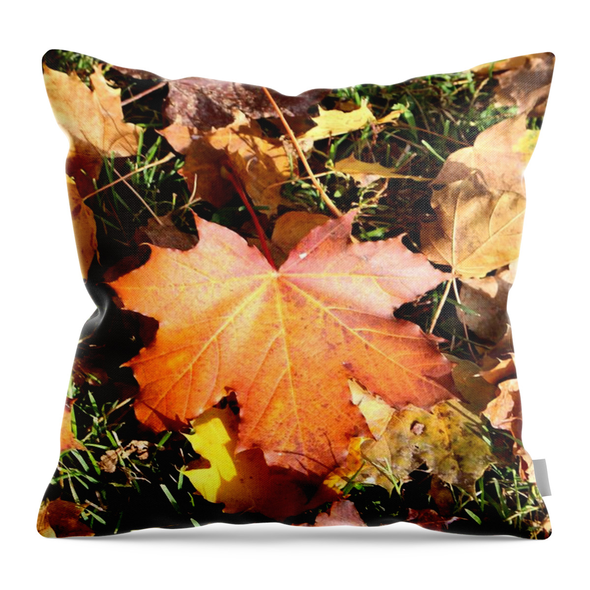 Leaf Leafs Autumn Fall Green Yellow Orange Green Black Brown Nature Landscape Earthy Scandinavia Europe Outdoors Landscape Photo Norge Mark Earth Colors Colorful Beautiful Beauty Pretty Fabulous Good Bright Daylight Peaceful Daytime Throw Pillow featuring the digital art Autumn Orange by Jeanette Rode Dybdahl