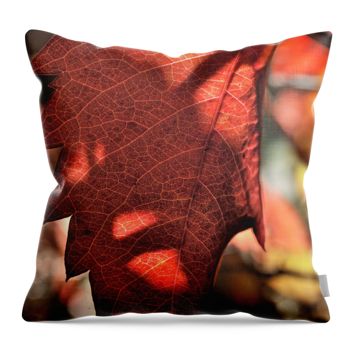 Nature Throw Pillow featuring the photograph Auburn Autumn by Ron Cline
