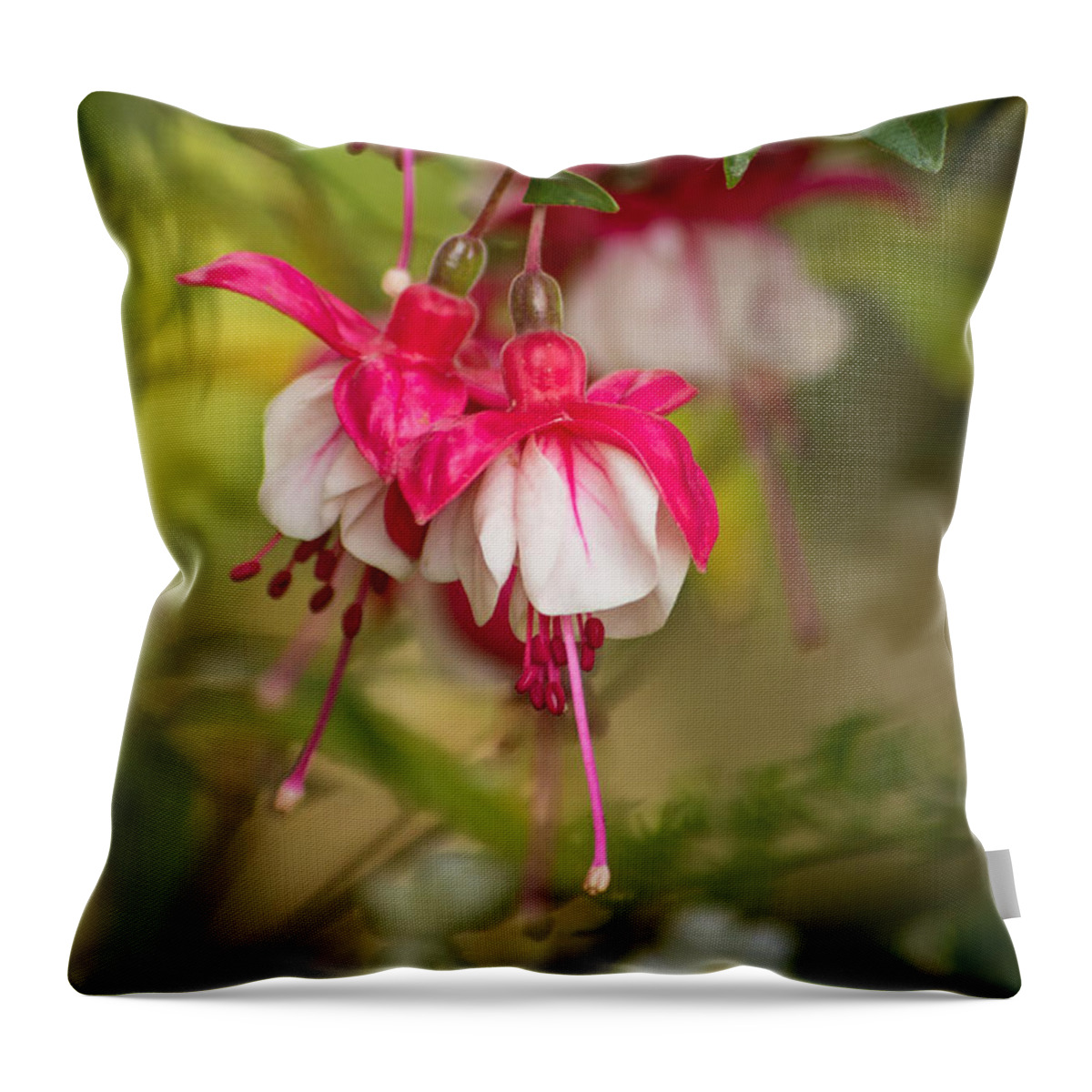 Fuchsia Throw Pillow featuring the photograph Evening Light by Marilyn Wilson