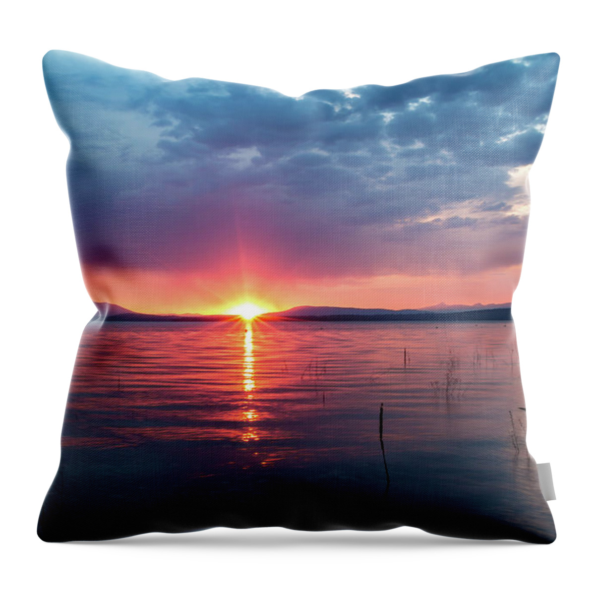 August Throw Pillow featuring the photograph August Eye by Jan Davies