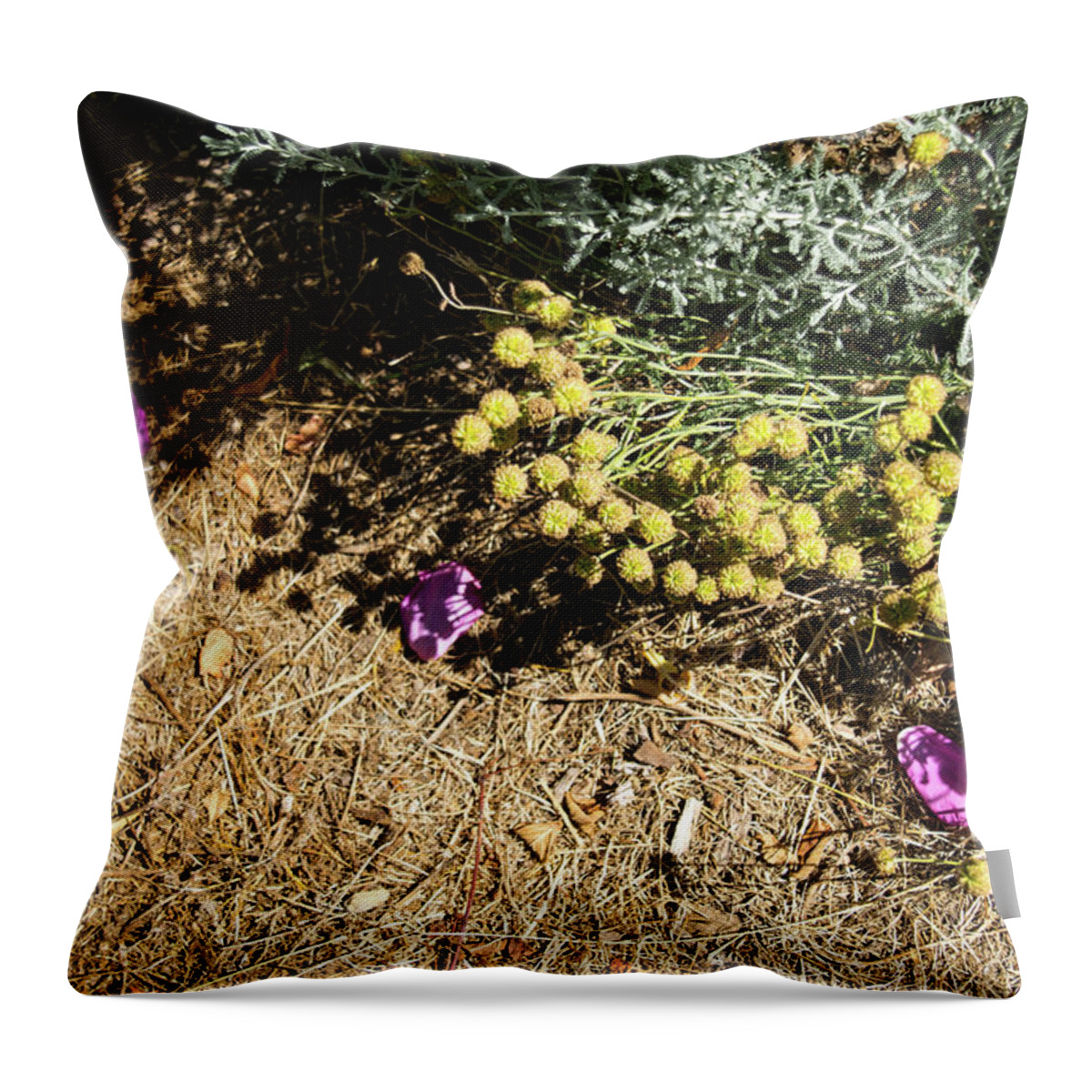 August Ground Cover Throw Pillow featuring the photograph August Ground Cover by Tom Cochran