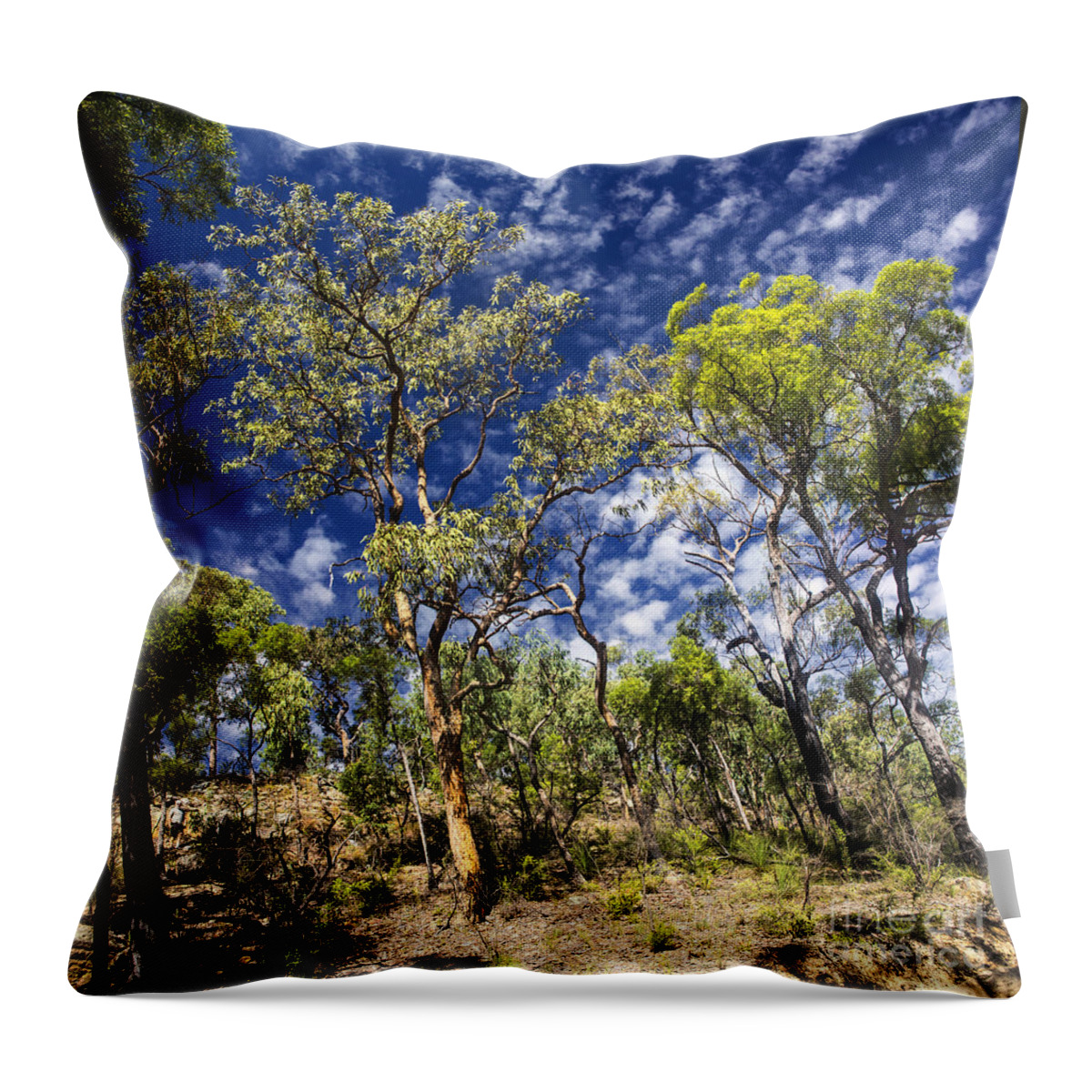 Australian Bush Throw Pillow featuring the photograph Australian bushland by Sheila Smart Fine Art Photography