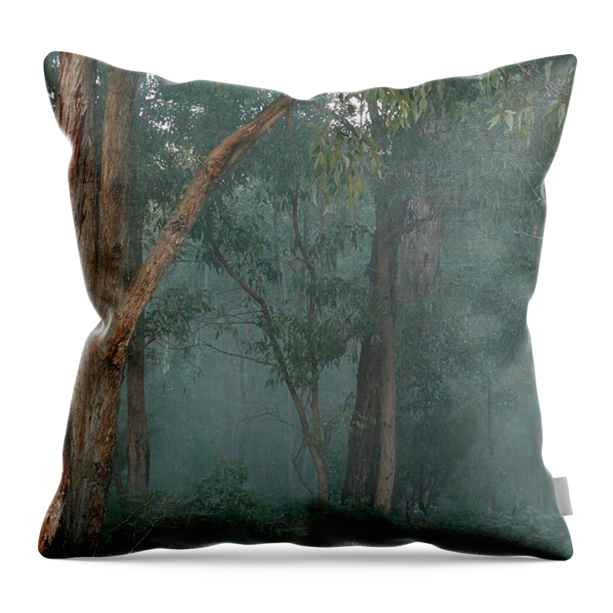 Australia Throw Pillow featuring the photograph Australian Morning by Evelyn Tambour