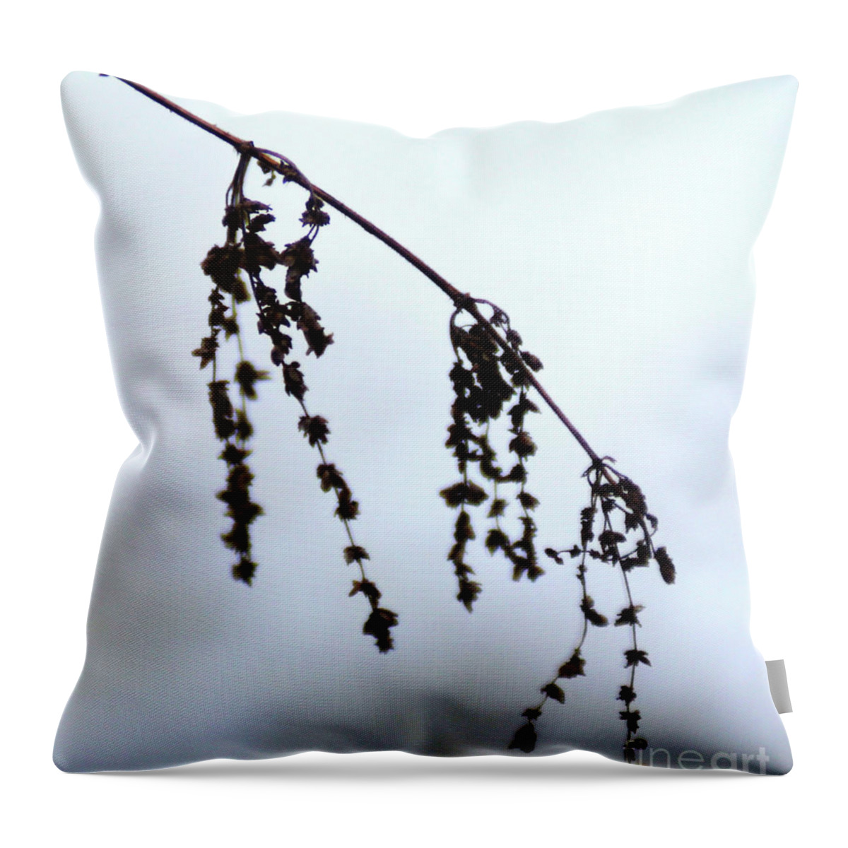 Autumn Throw Pillow featuring the photograph Autumn 1 by Wilhelm Hufnagl