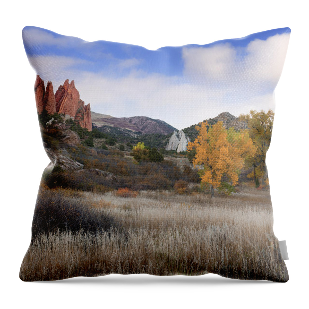 Fall Throw Pillow featuring the photograph Autumn Afternoon Solitude by Tim Reaves