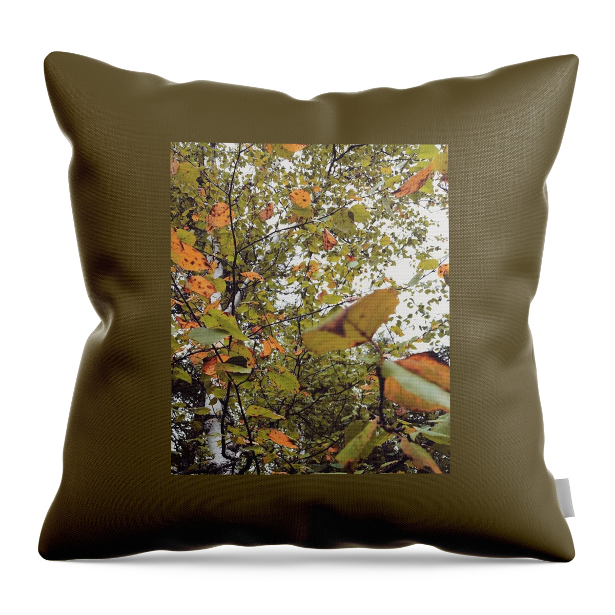 Autumn Throw Pillow featuring the photograph Autumn by Amanda Taylor