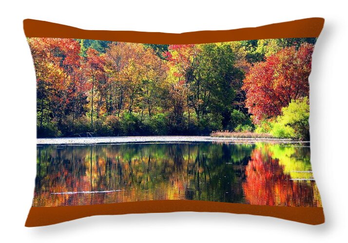 Lake Throw Pillow featuring the photograph Autumn At Laurel Lake by Angela Davies