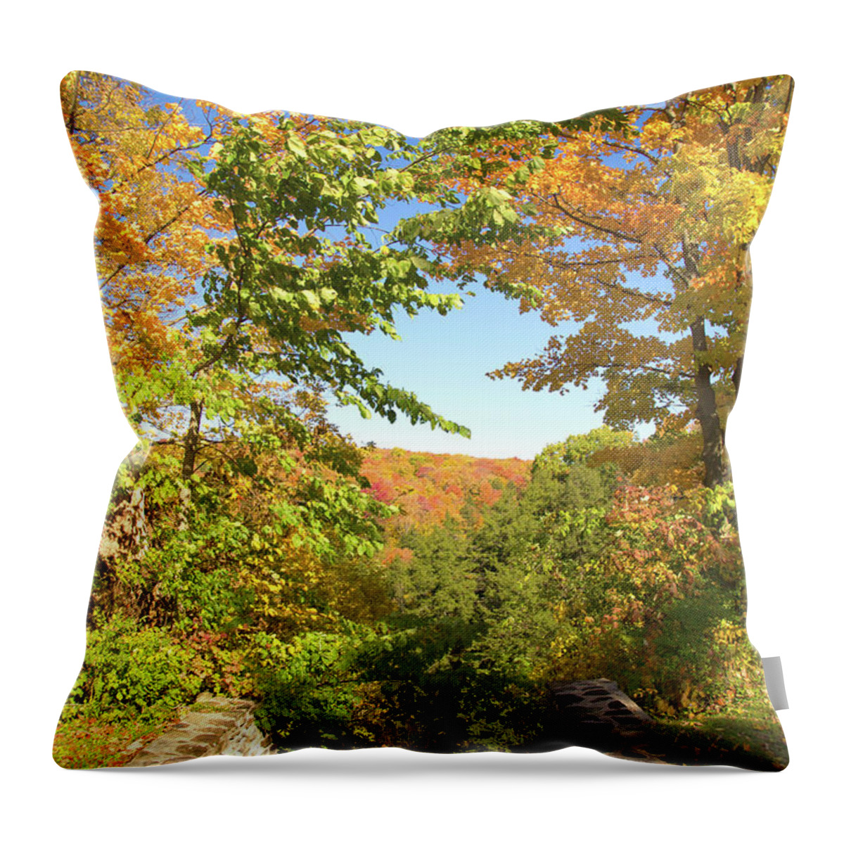 Pratt's Falls Throw Pillow featuring the photograph Autumn at Pratt's Falls by David Stasiak