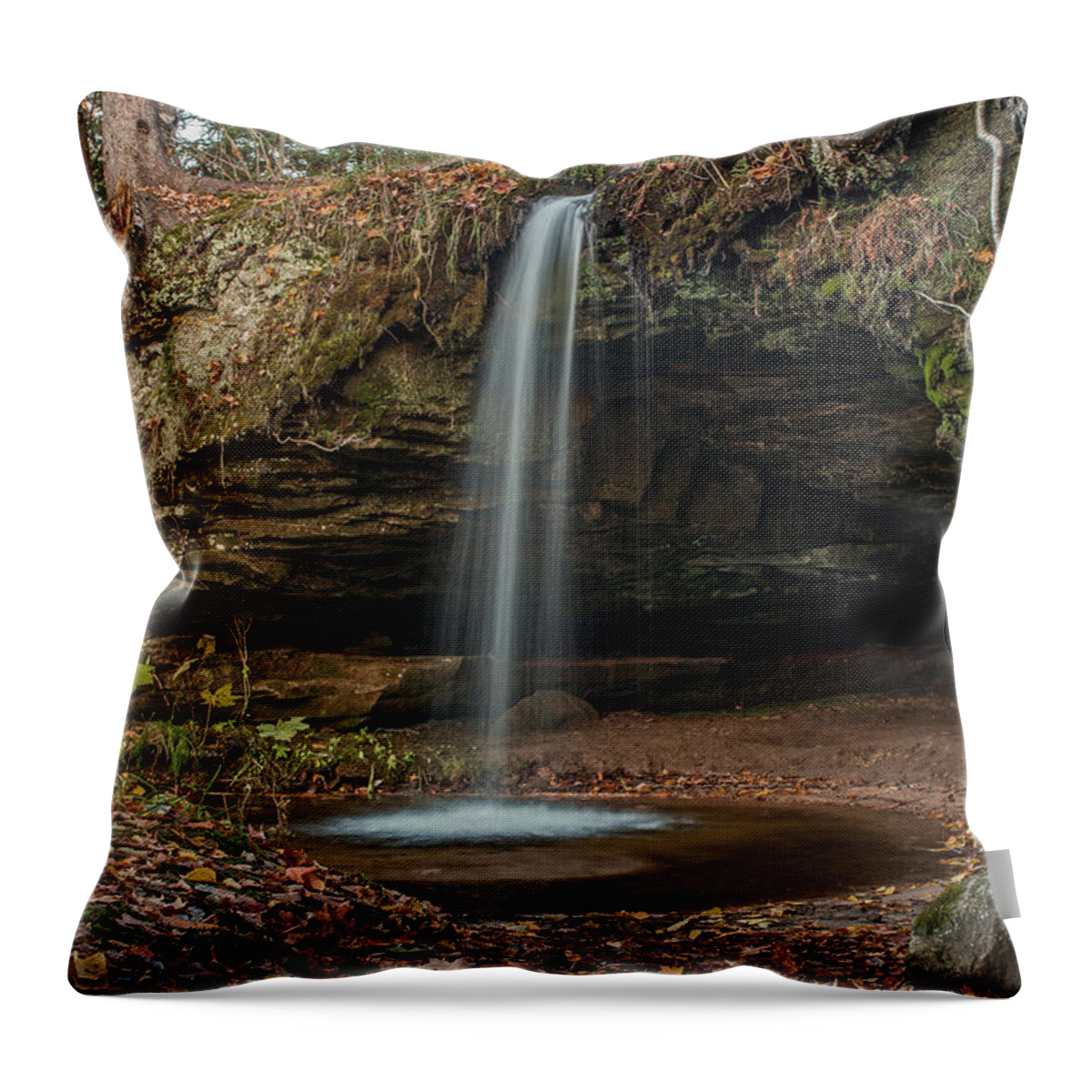 Waterfalls Throw Pillow featuring the photograph Autumn at Scott Falls by Gary McCormick