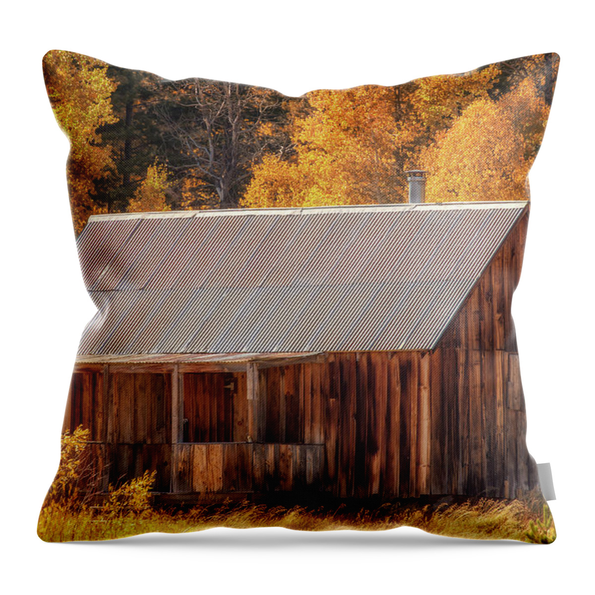 Landscape Throw Pillow featuring the photograph Autumn at the Old Cabin by Marc Crumpler