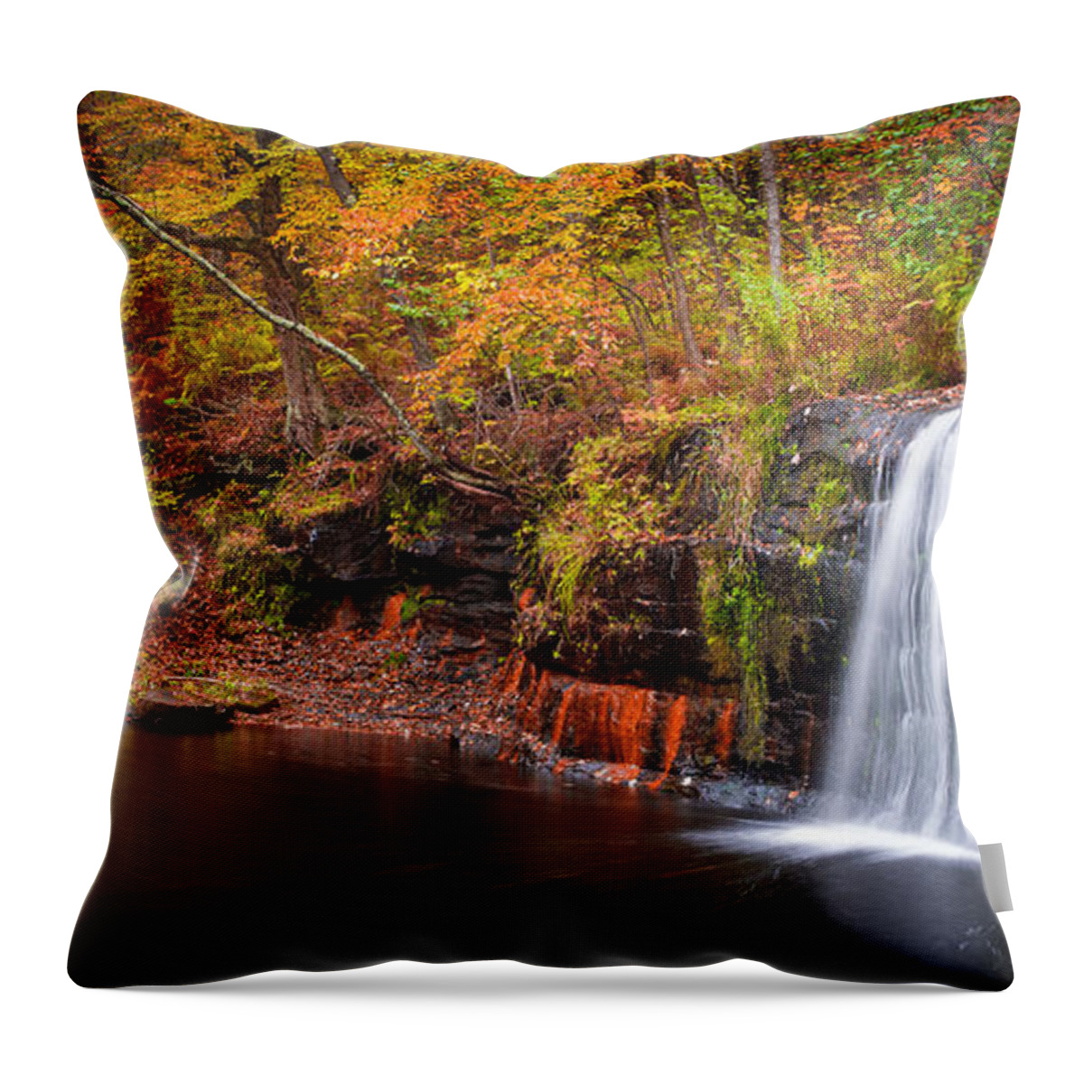 Autumn Throw Pillow featuring the photograph Autumn at Wolf Creek Falls by Rikk Flohr