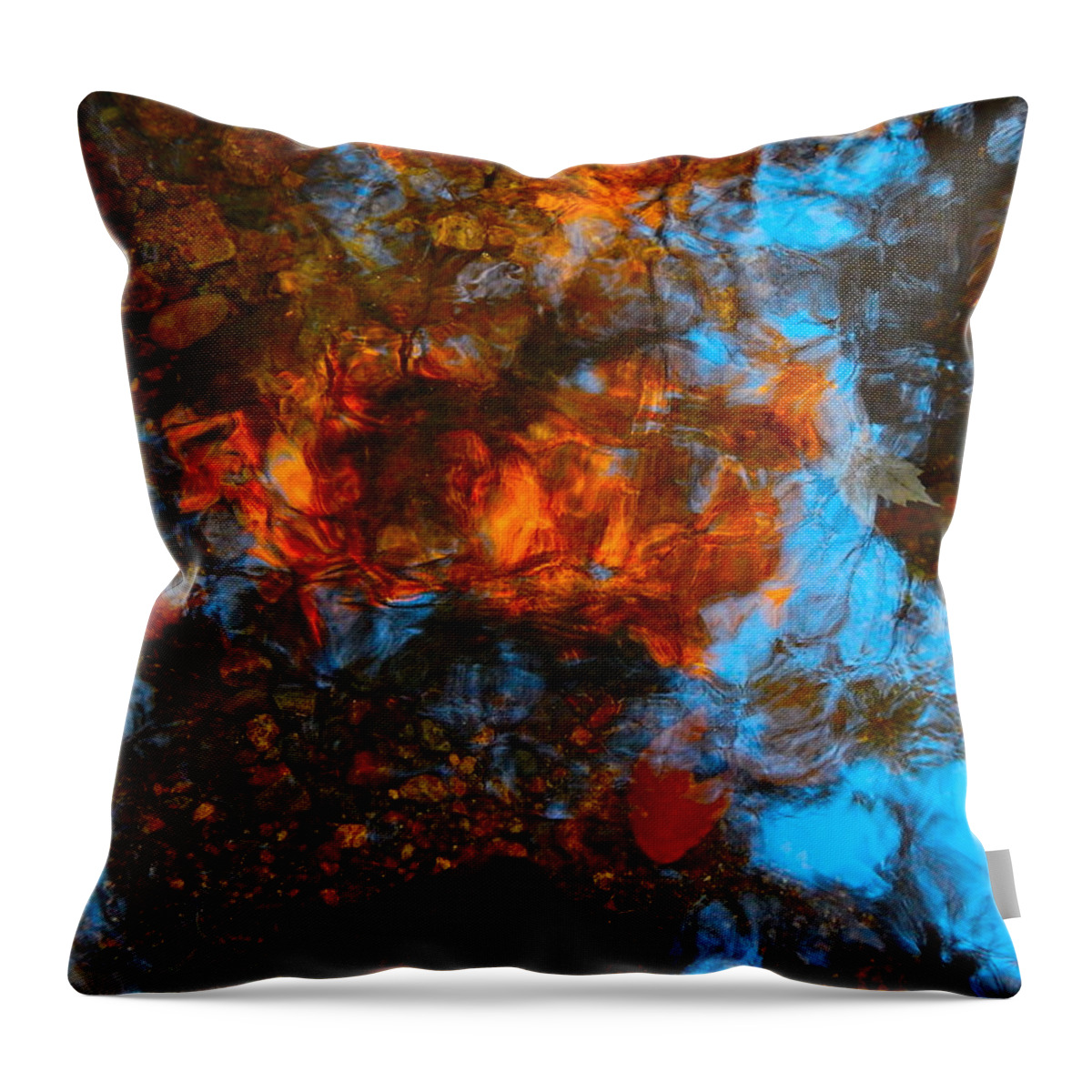 Autumn Landscape Throw Pillow featuring the photograph Autumn B 2015 35 by George Ramos