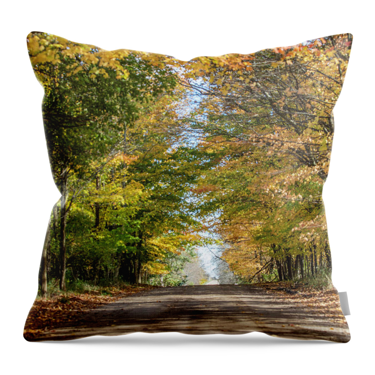 Autumn Throw Pillow featuring the photograph Autumn Backroad by John McGraw