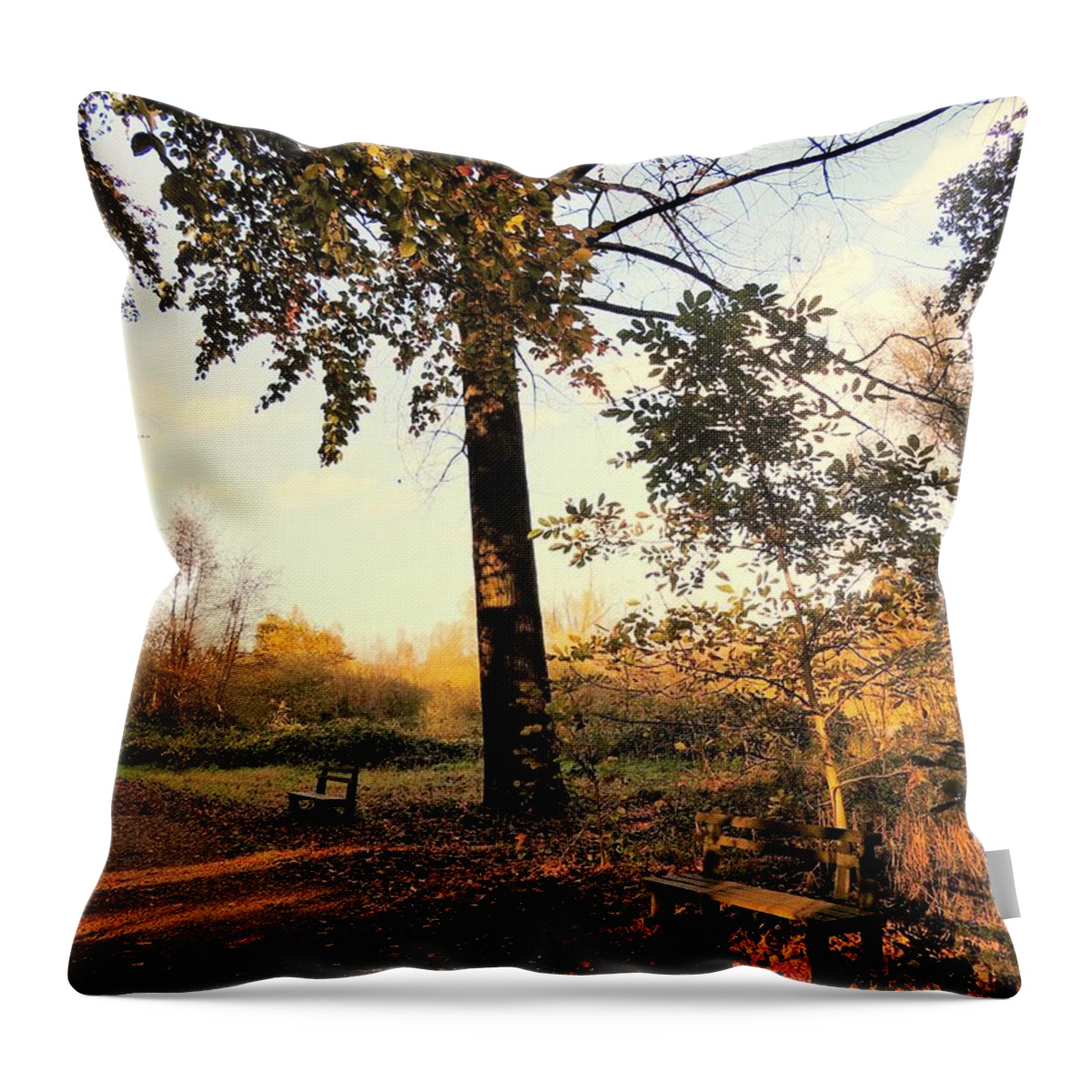 Landscape Throw Pillow featuring the photograph Autumn bench wood by Heidi De Leeuw