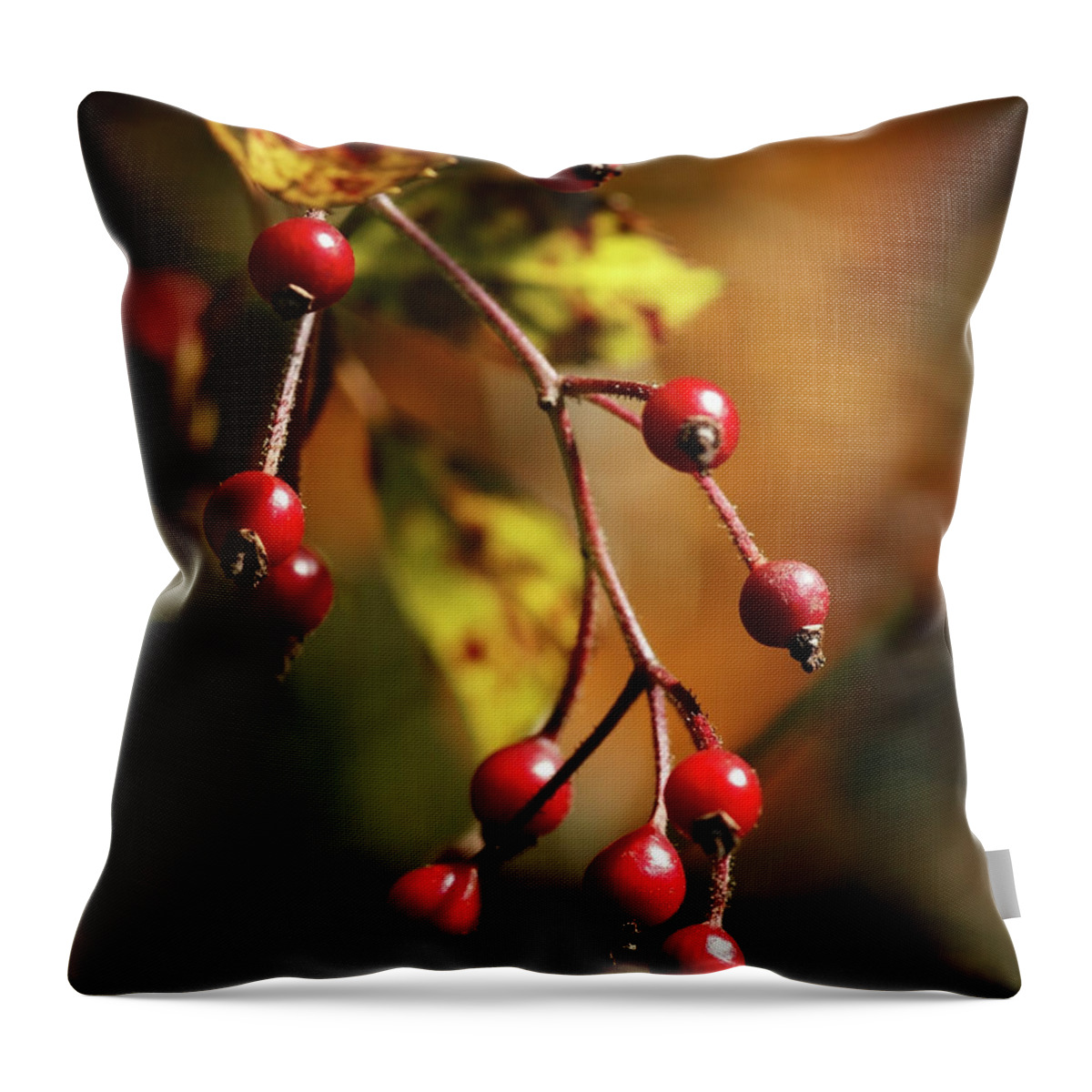 Berries Throw Pillow featuring the photograph Autumn Berries by Linda Shafer