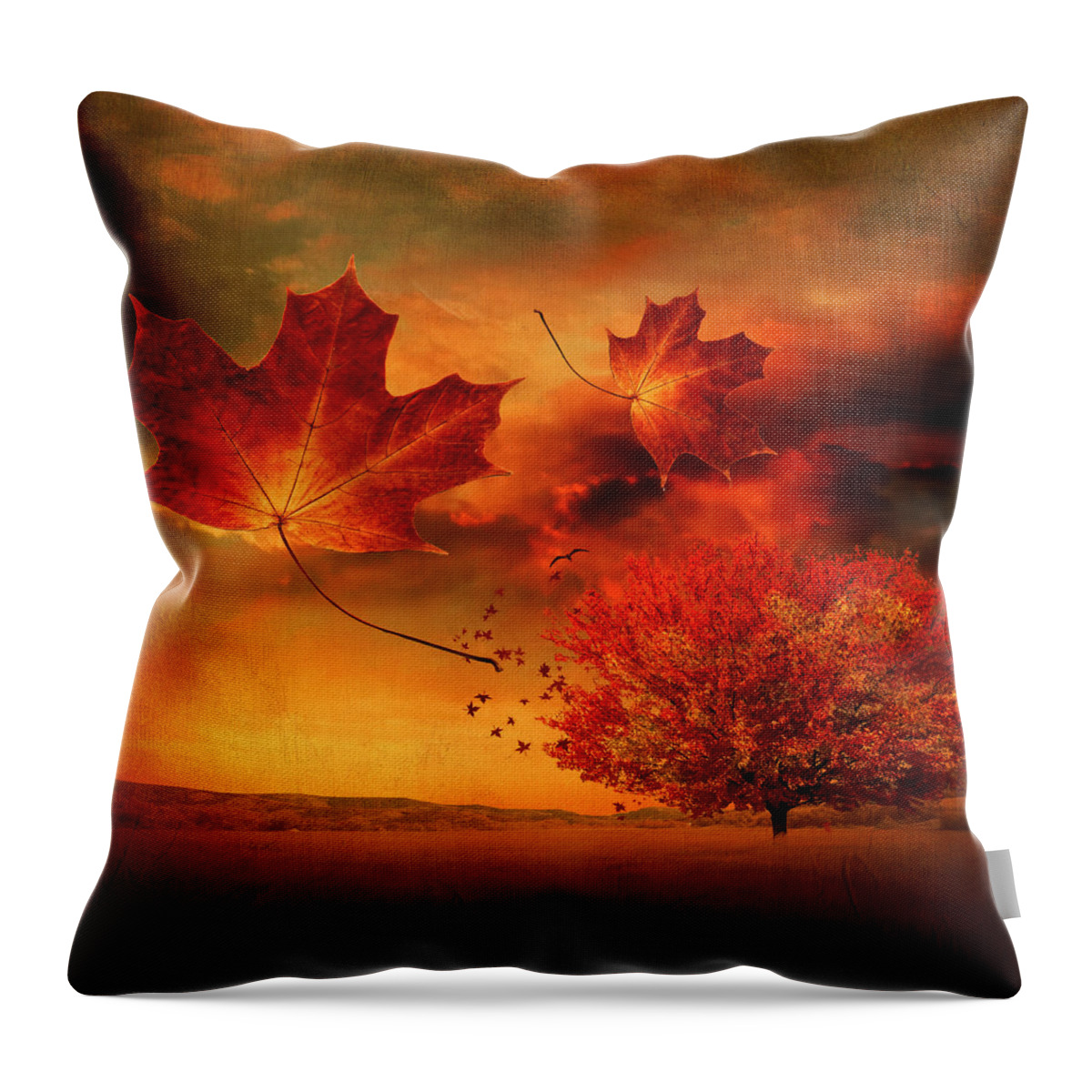 Maple Tree Throw Pillow featuring the photograph Autumn Blaze by Lourry Legarde