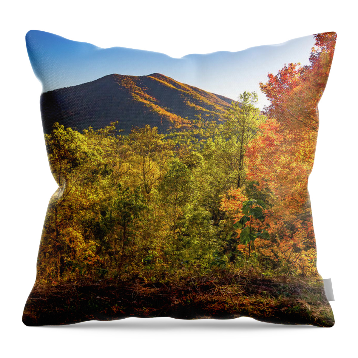 Blue Throw Pillow featuring the photograph Autumn Blue Ridge Flat Top Mountain by Norma Brandsberg