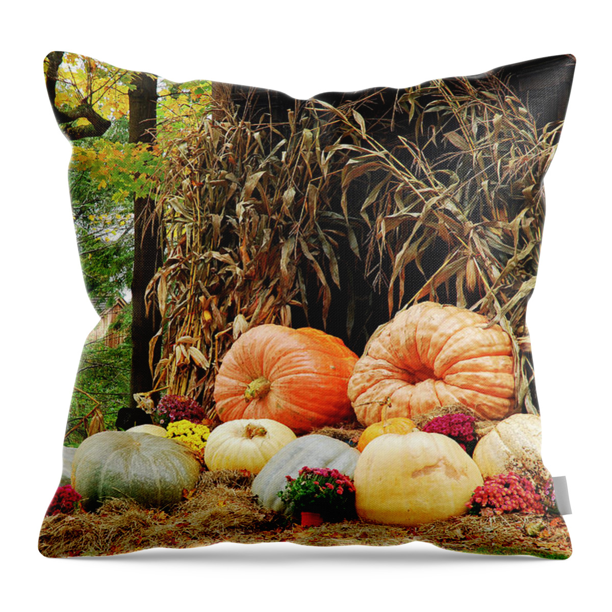 Vermont Throw Pillow featuring the photograph Autumn Bounty by James Kirkikis