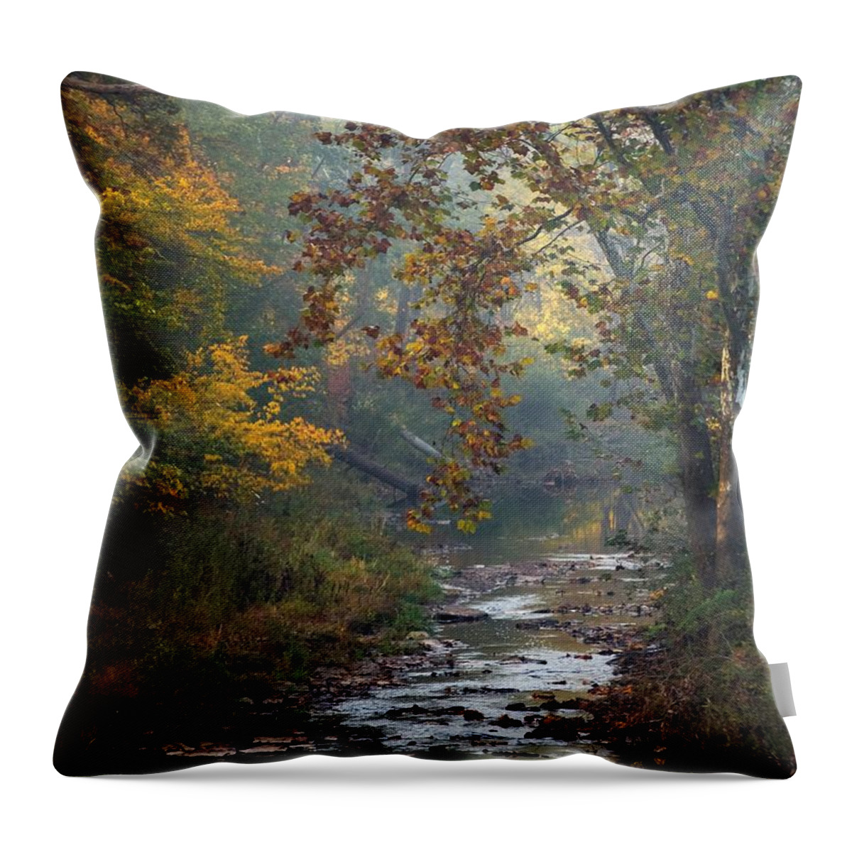 Autumn Throw Pillow featuring the photograph Autumn by the Creek by Elsa Santoro
