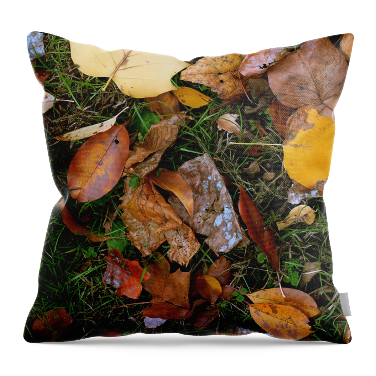 11.06.15_a Throw Pillow featuring the photograph Autumn Carpet 001 by Dorin Adrian Berbier