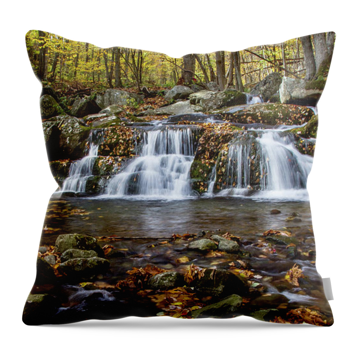 Cascade Throw Pillow featuring the photograph Autumn Cascade by Kevin Craft
