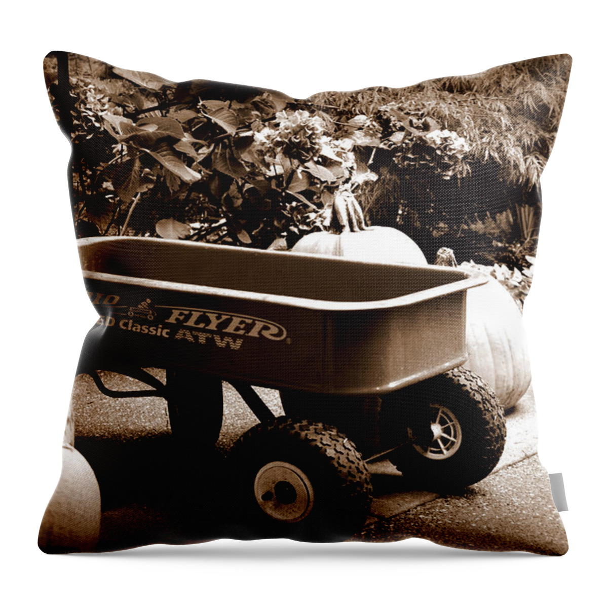Seasons Throw Pillow featuring the photograph Autumn Chores by Tatyana Searcy