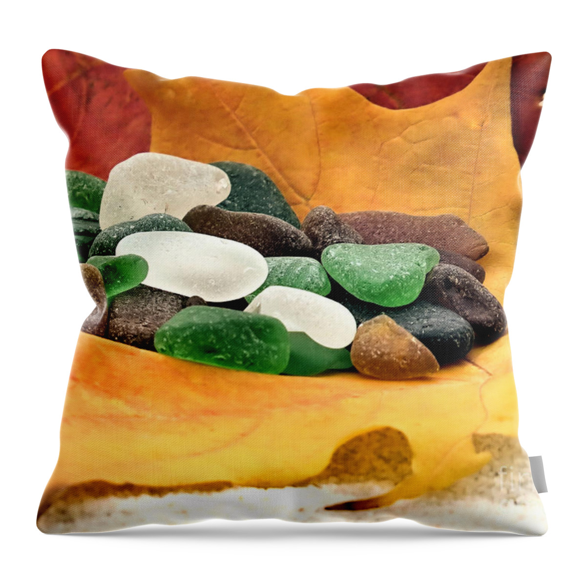 Autumn Throw Pillow featuring the photograph Autumn Collection by Janice Drew