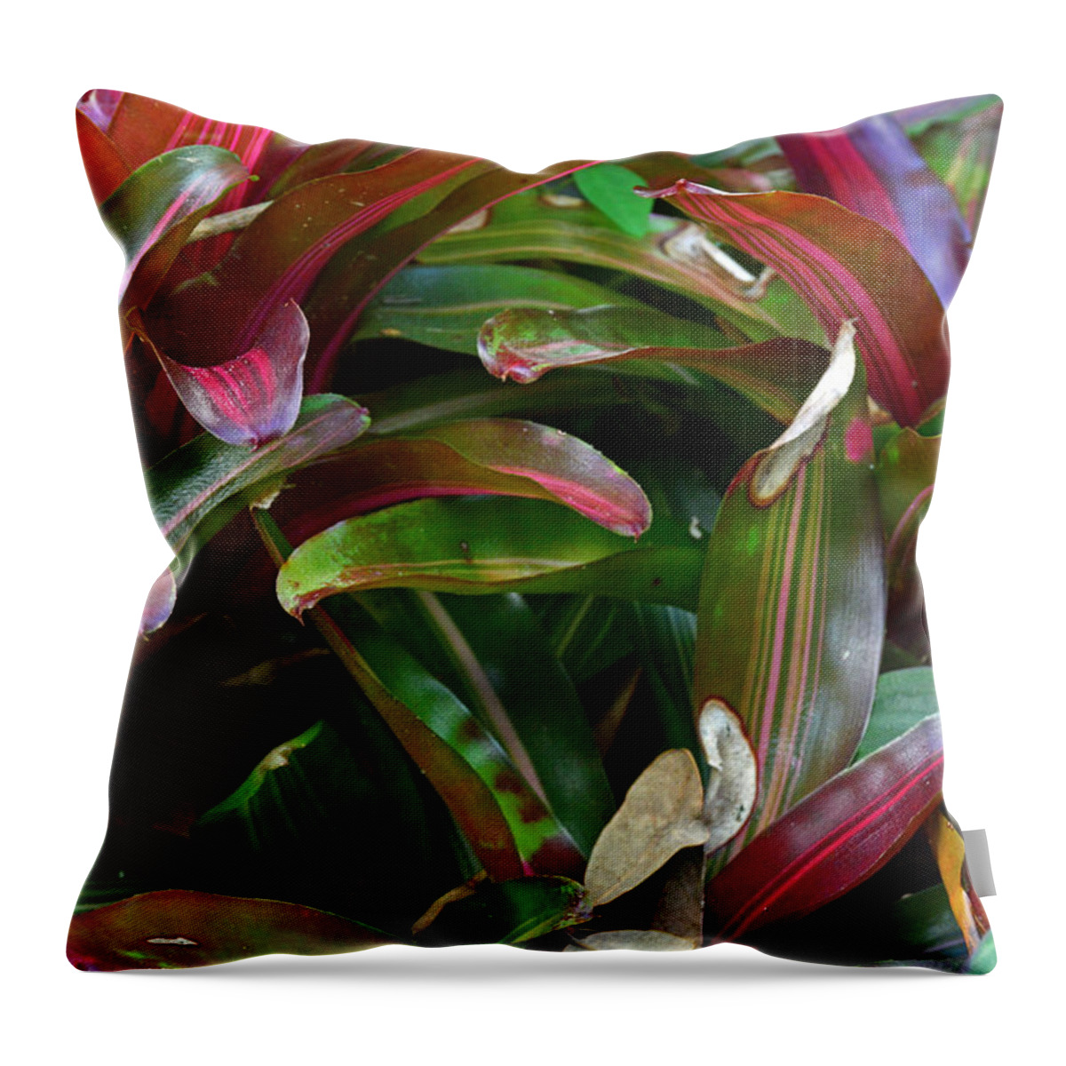 Purple Shield Throw Pillow featuring the photograph Autumn Colors at Albin Polasek Museum by Bruce Gourley