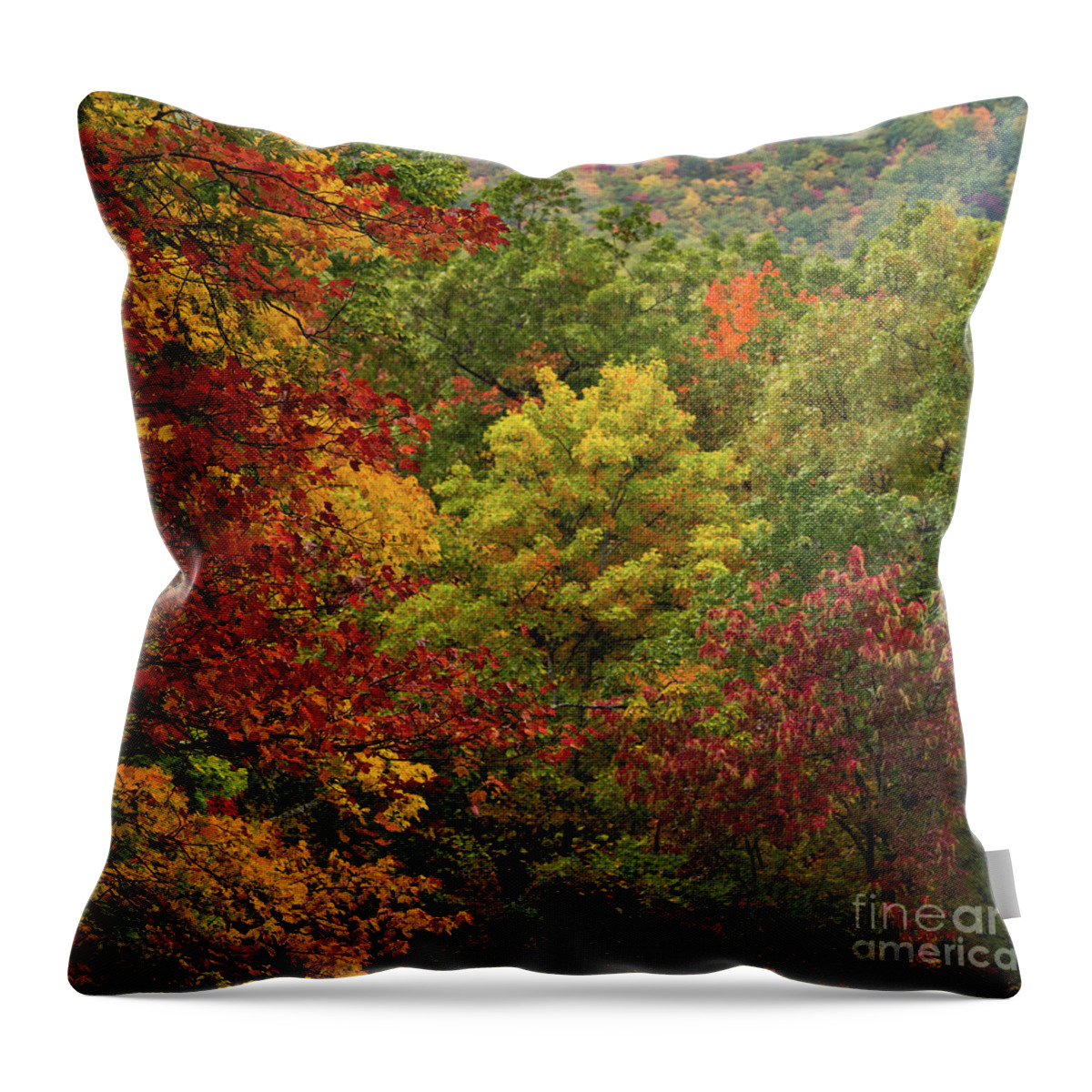 Roaring Fork Throw Pillow featuring the photograph Autumn Colors by Doug Sturgess