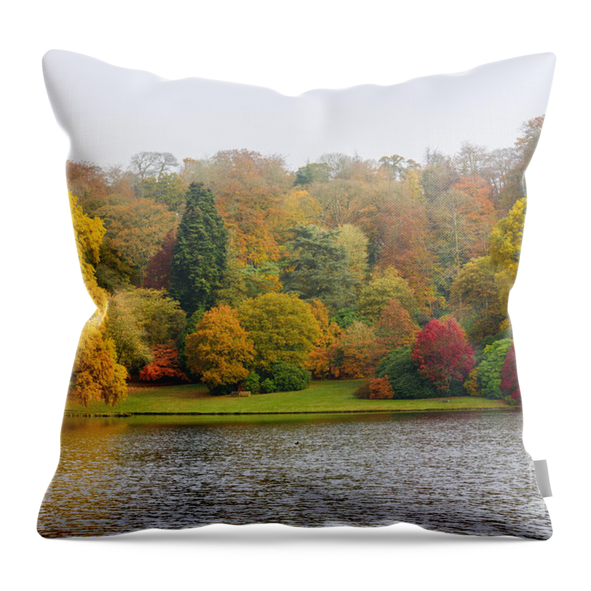 Autumn Throw Pillow featuring the photograph Autumn colous by Colin Rayner