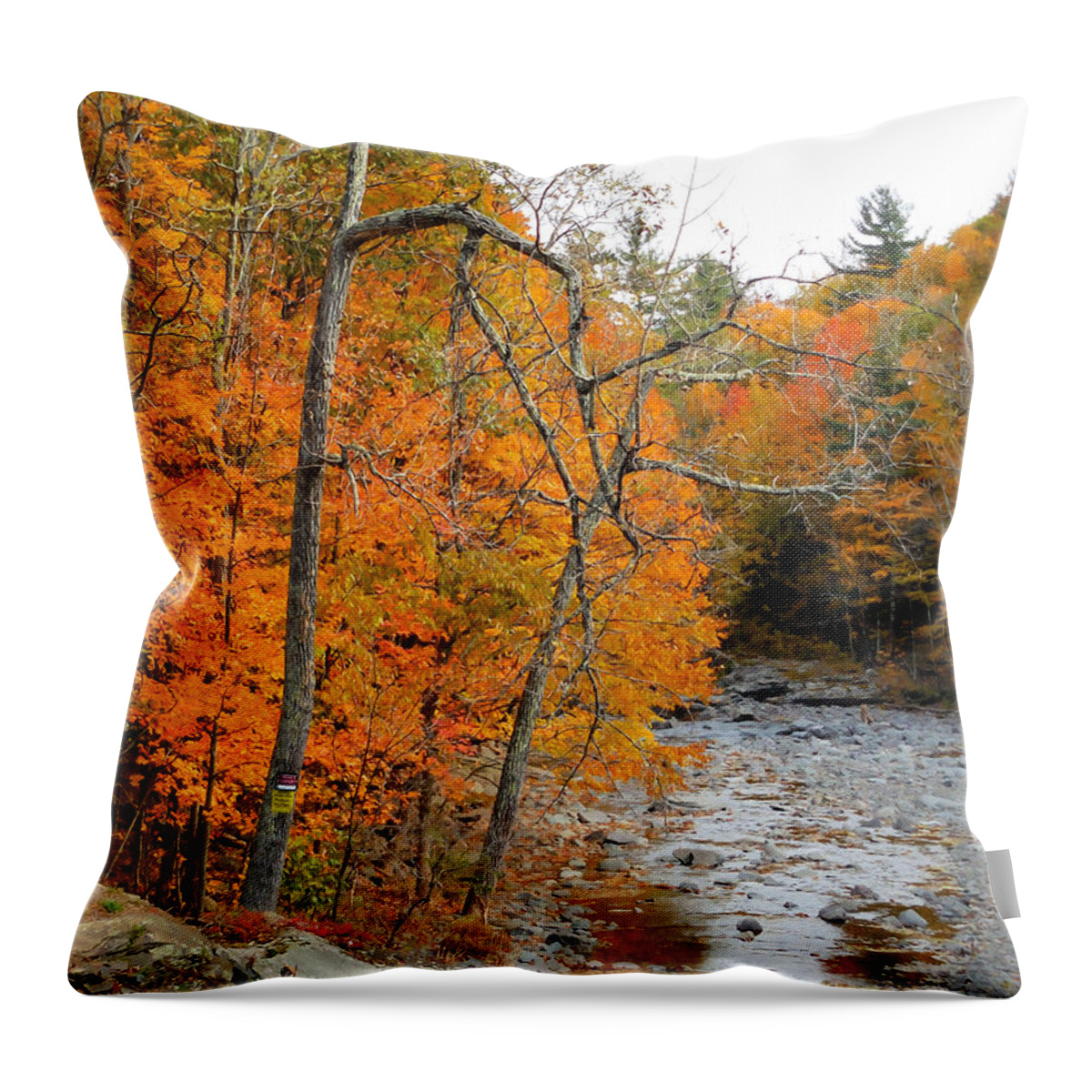Autumn Creek Throw Pillow featuring the painting Autumn creek 11 by Jeelan Clark