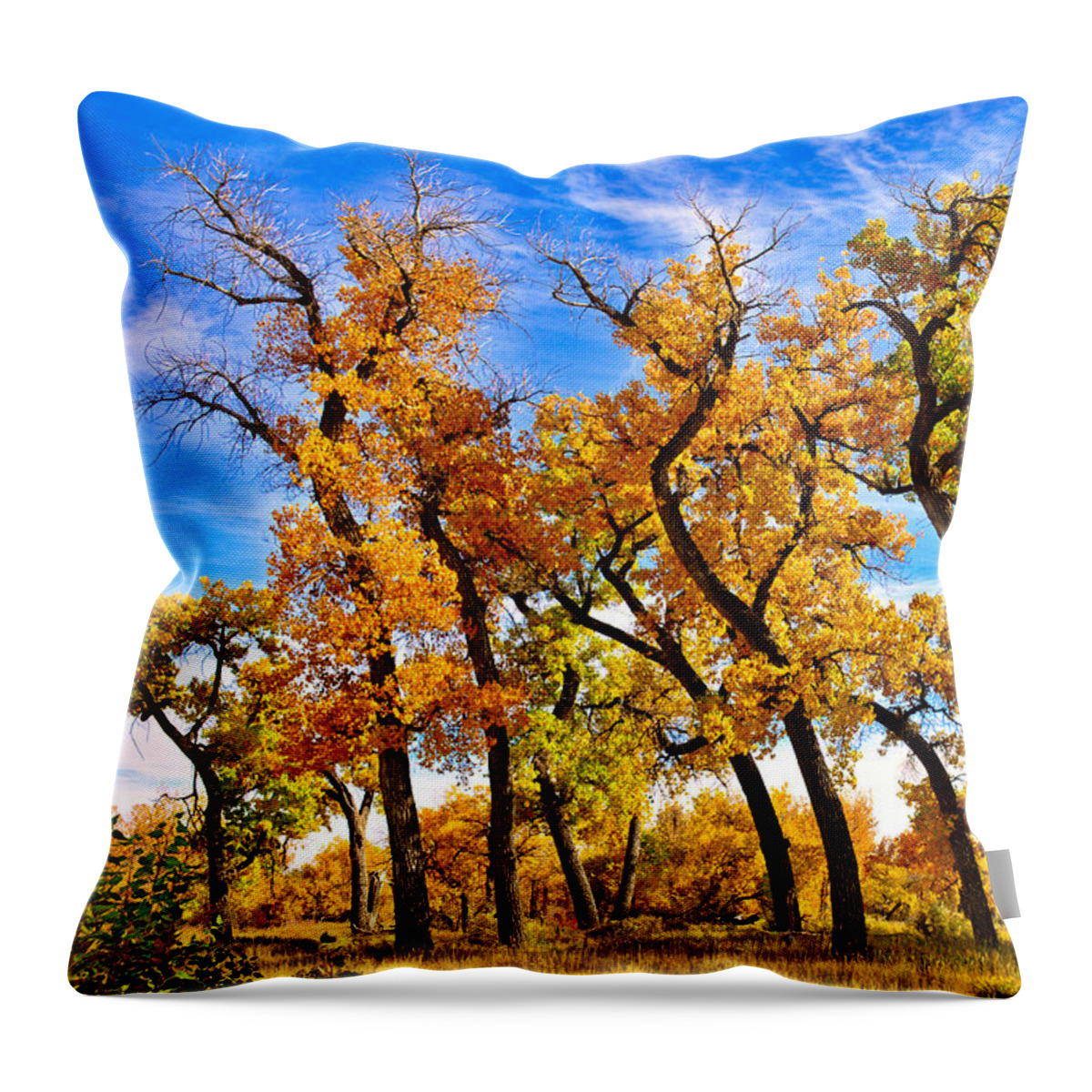 Autumn Throw Pillow featuring the photograph Autumn Dance of the Tall Trees by Robert Meyers-Lussier
