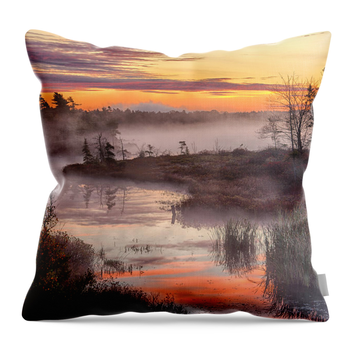 Dawn Throw Pillow featuring the photograph Autumn Dawning by Irwin Barrett