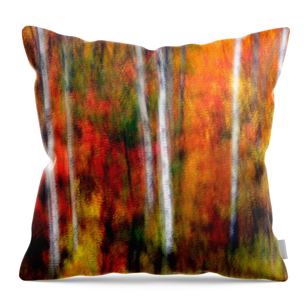 Canada Throw Pillow featuring the photograph Autumn Dreams by Doug Gibbons
