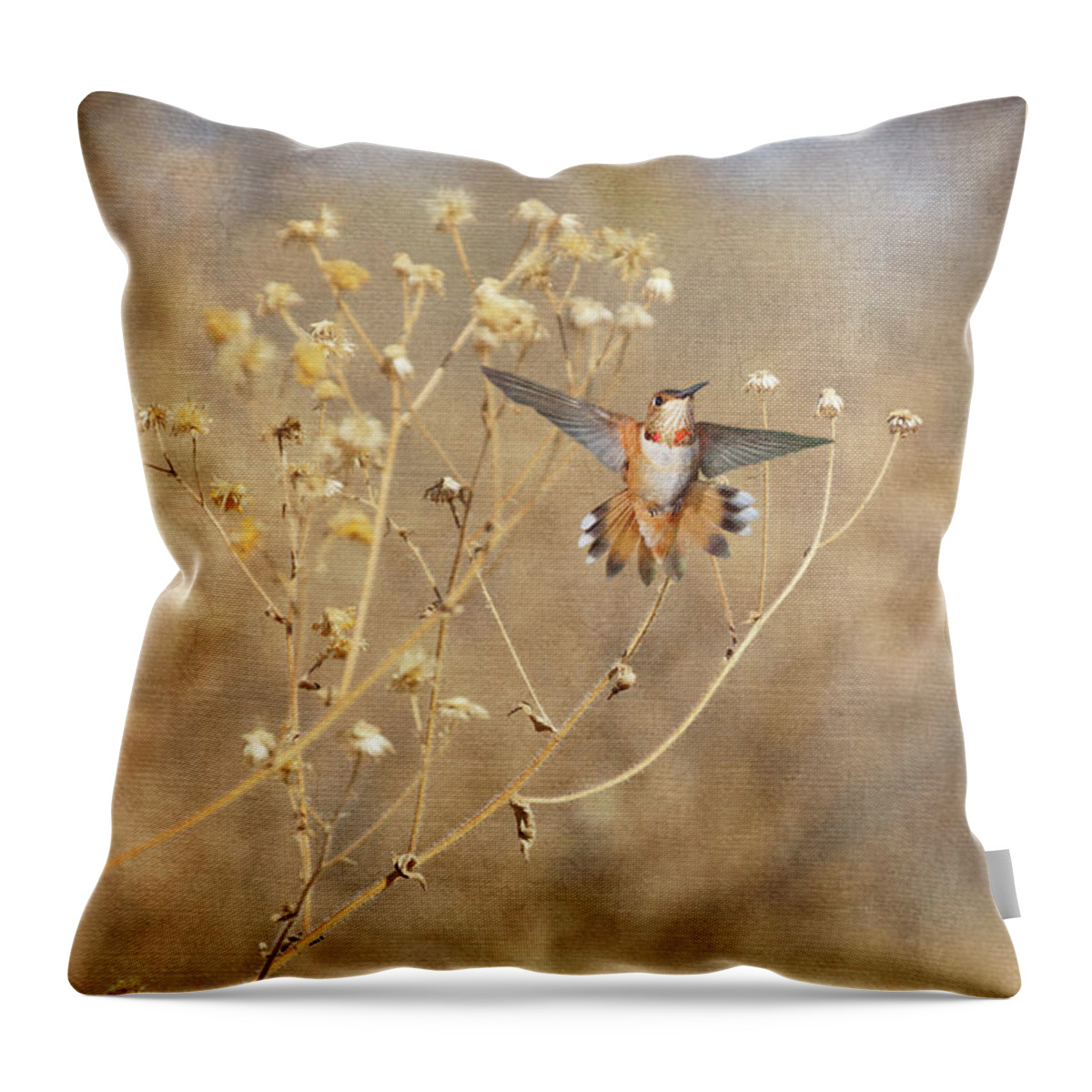 Rufous Hummingbirds Throw Pillow featuring the photograph Autumn Dreams II by Leda Robertson