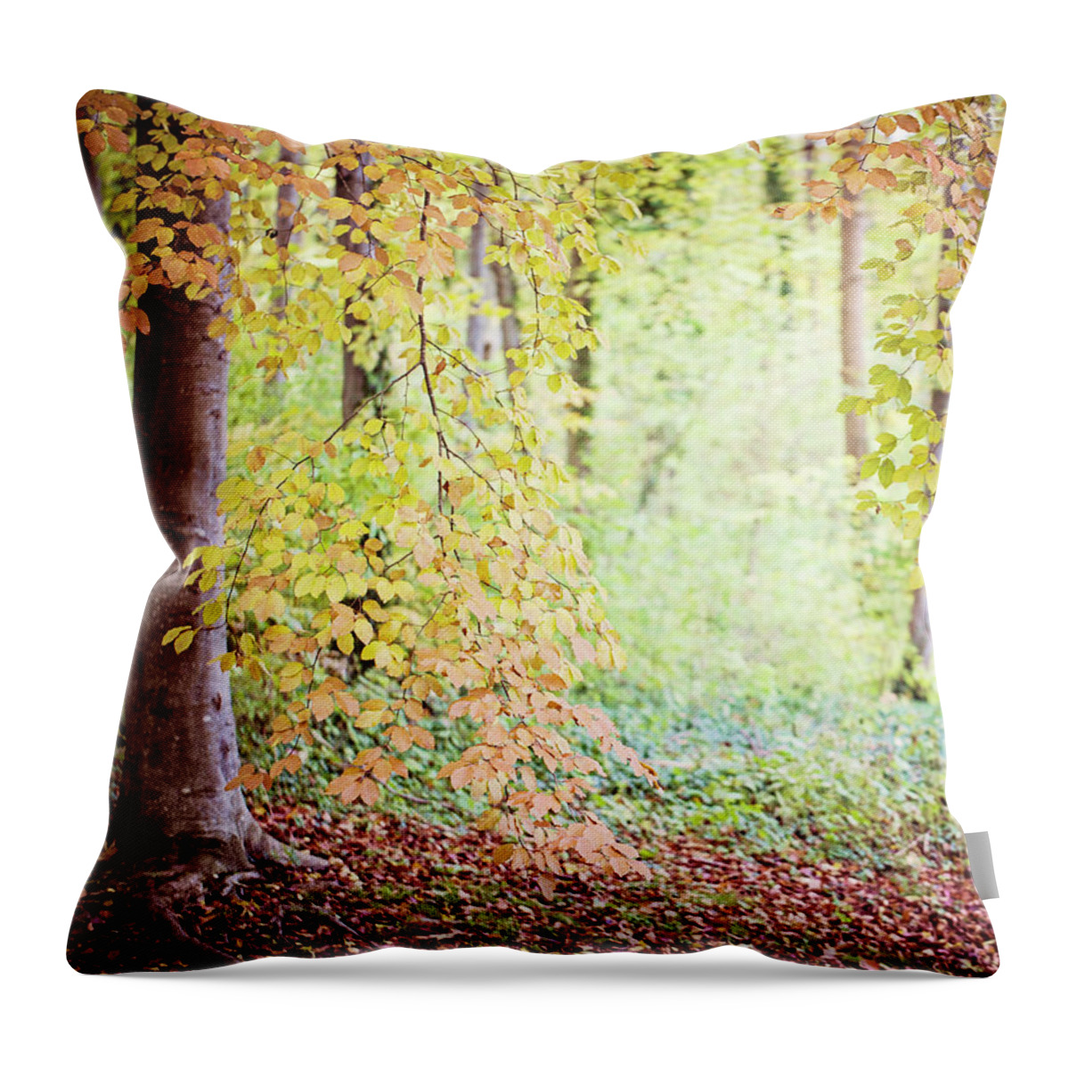 Autumn Throw Pillow featuring the photograph Autumn Dreams by Melanie Alexandra Price