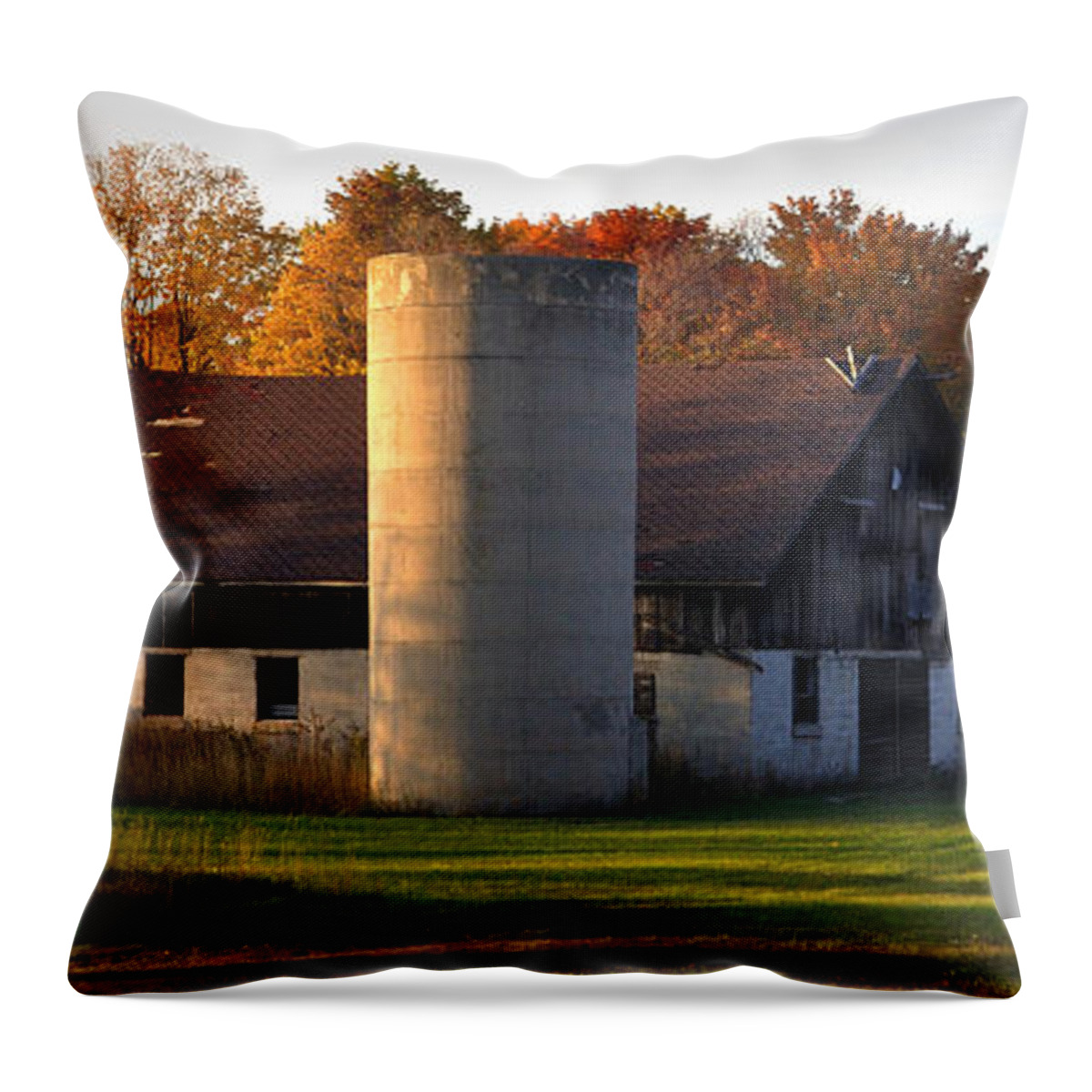 Fall Throw Pillow featuring the photograph Autumn Evening by Tim Nyberg