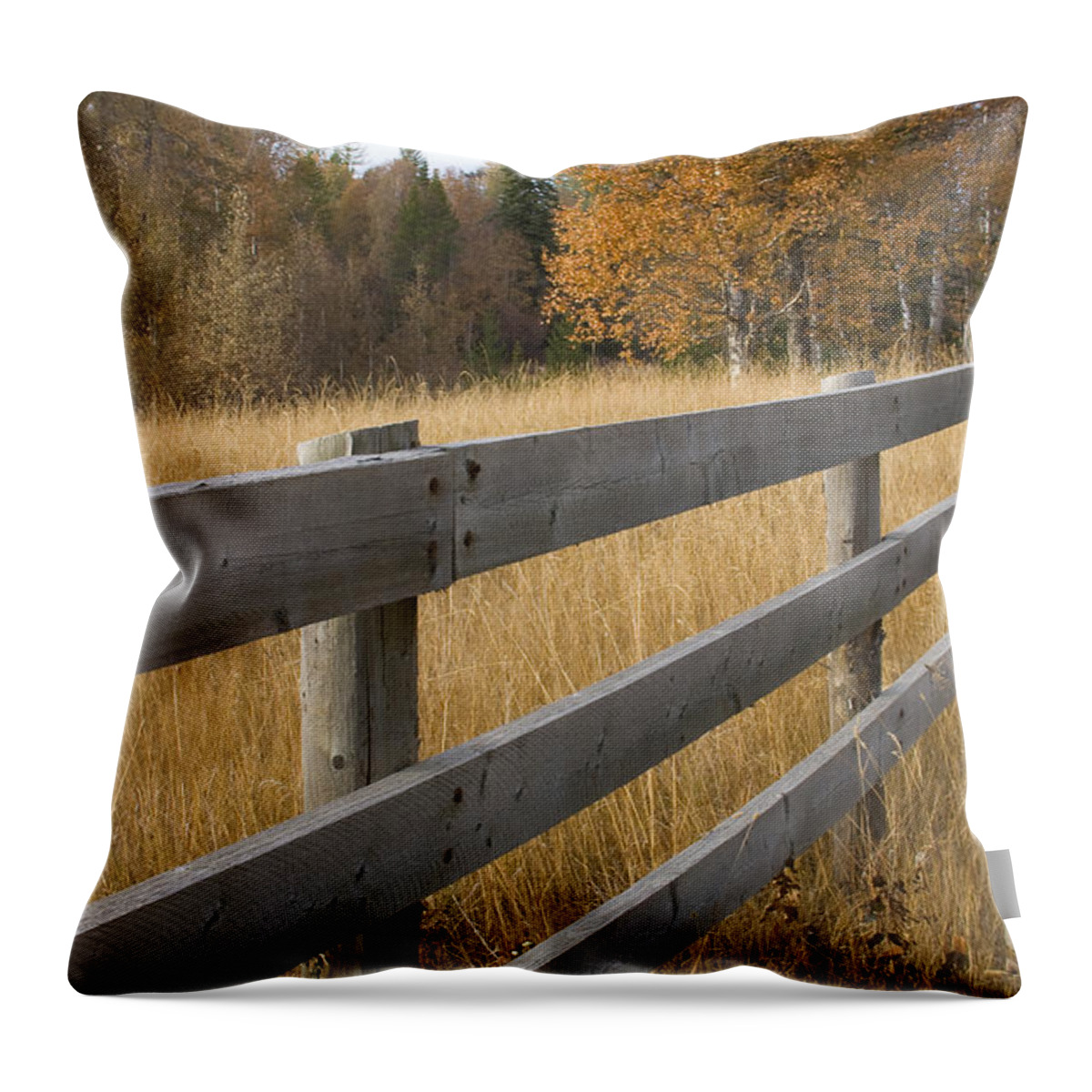 Grass Throw Pillow featuring the photograph Autumn Fence by Idaho Scenic Images Linda Lantzy