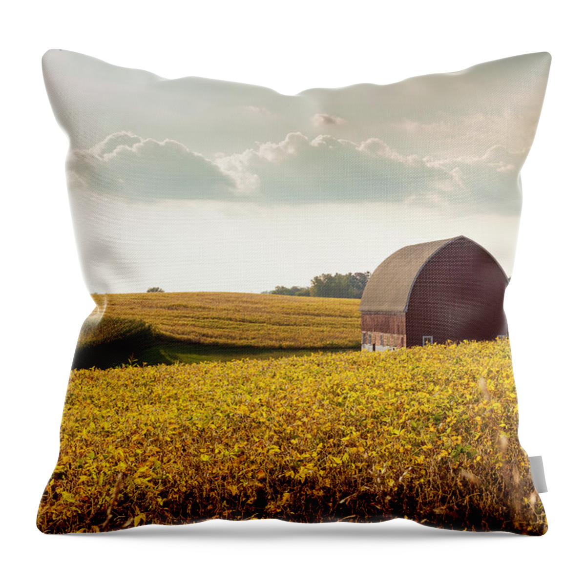 Autumn Throw Pillow featuring the photograph Autumn Field by Mark Mille