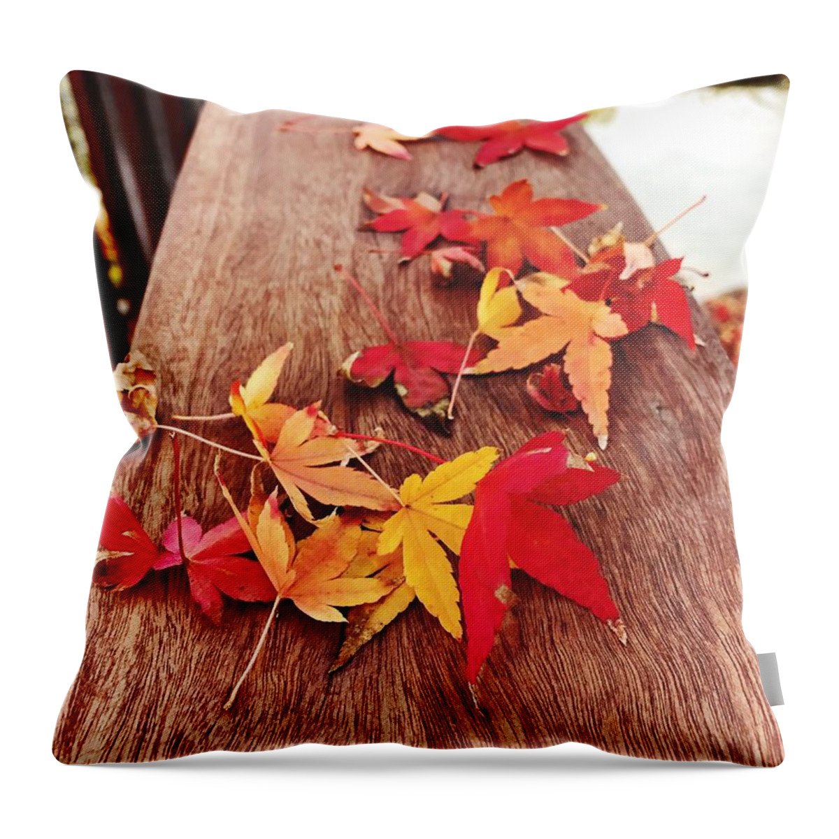 Autumn Throw Pillow featuring the photograph Autumn Gathering by Brad Hodges
