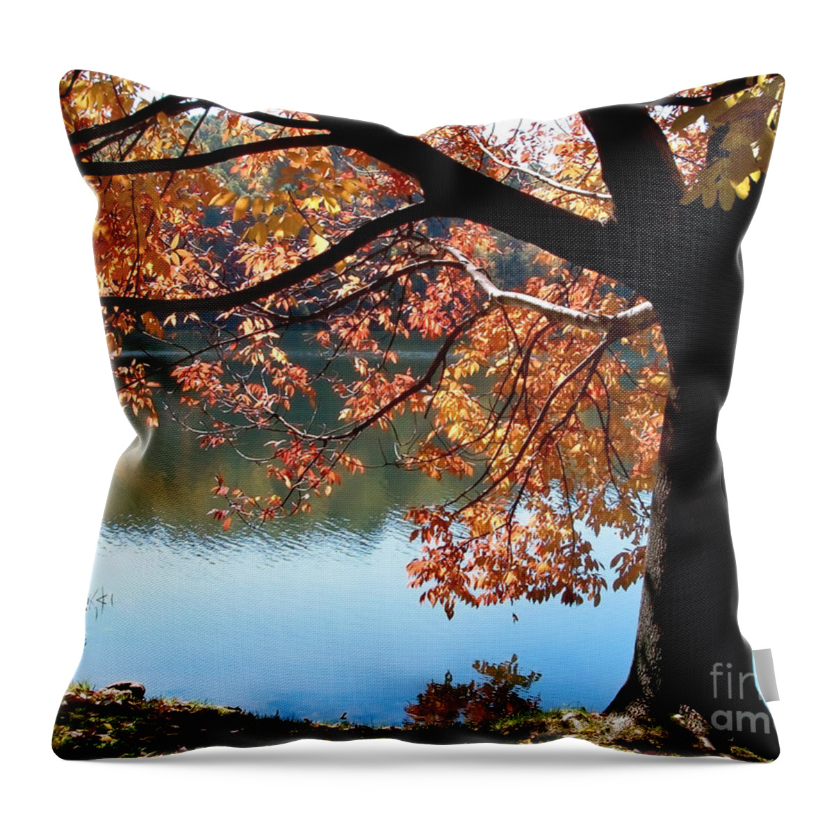 Lake Throw Pillow featuring the photograph Autumn Glory by Karin Everhart