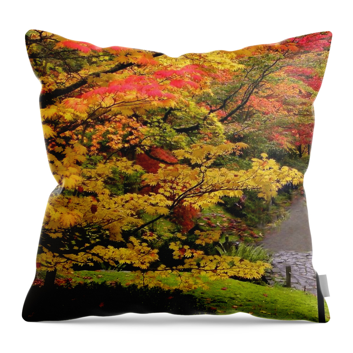 Autumn Throw Pillow featuring the photograph Autumn gold by Sheila Ping